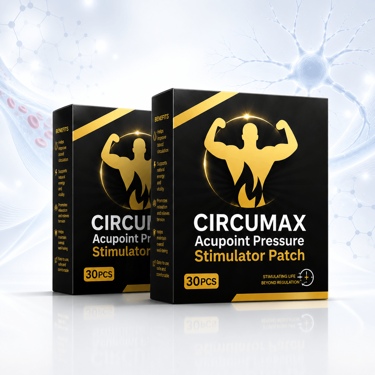 CircuMax Patches