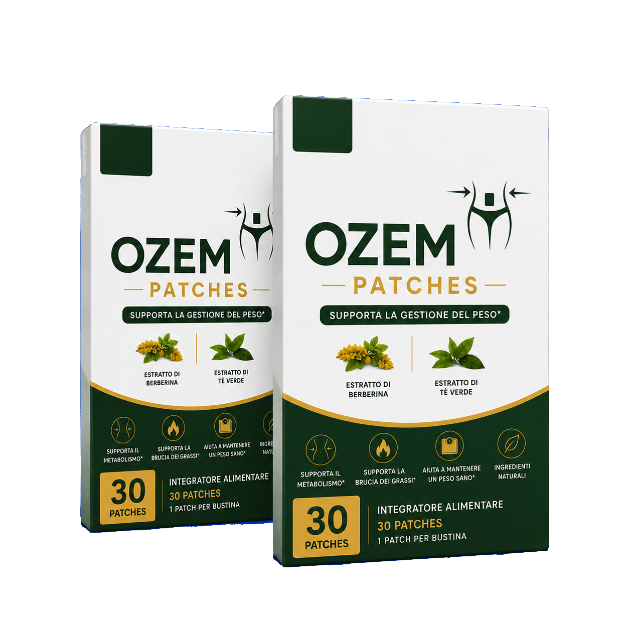 OzemPatch