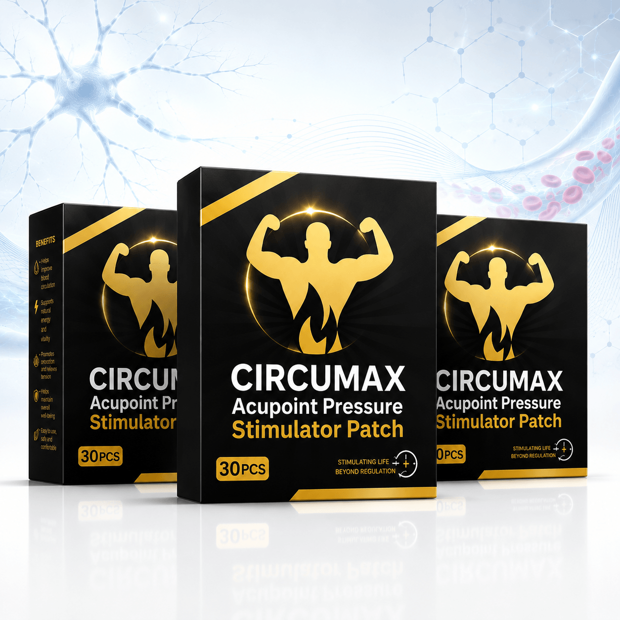 CircuMax Patches