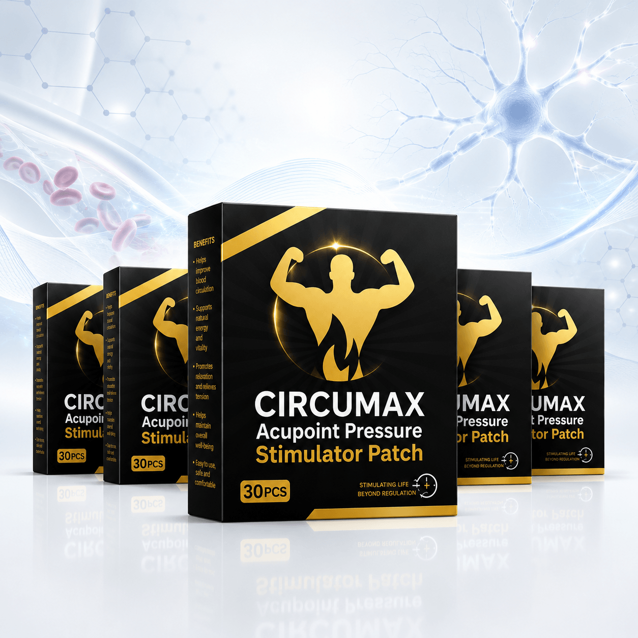 CircuMax Patches